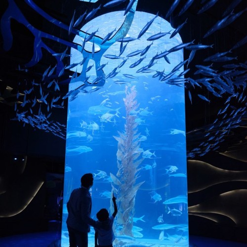 Jakarta Aquarium, 娱乐 | We provide Indonesia infrastructure map on various property sectors and data. Access property listings, infrastructure developments, news, and valuable transaction data for informed decisions.