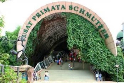 Ragunan Zoo, 娱乐 | We provide Indonesia infrastructure map on various property sectors and data. Access property listings, infrastructure developments, news, and valuable transaction data for informed decisions.