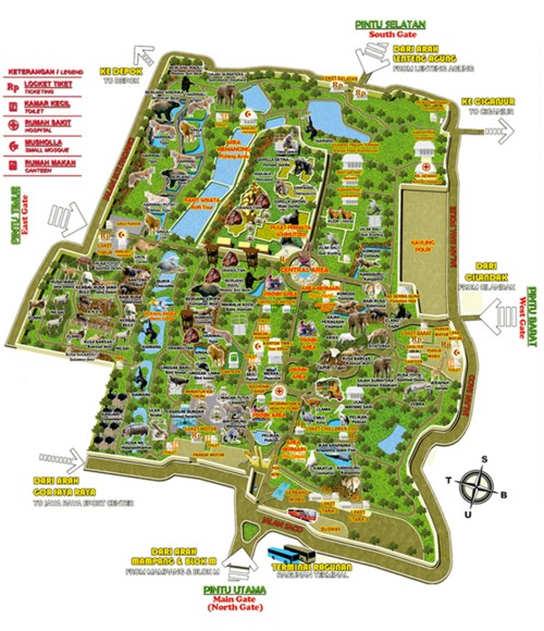 Ragunan Zoo, 娱乐 | We provide Indonesia infrastructure map on various property sectors and data. Access property listings, infrastructure developments, news, and valuable transaction data for informed decisions.