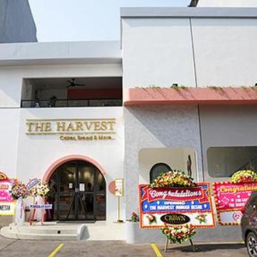 The Harvest Mangga Besar, Stand Alone Retail | We provide Indonesia infrastructure map on various property sectors and data. Access property listings, infrastructure developments, news, and valuable transaction data for informed decisions.