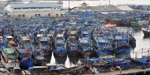 Port of Muara Angke, 海港 | We provide Indonesia infrastructure map on various property sectors and data. Access property listings, infrastructure developments, news, and valuable transaction data for informed decisions.
