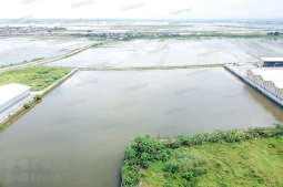 Knight Frank | Vacant Land in Karang Tengah, Demak | Photo (thumbnail)