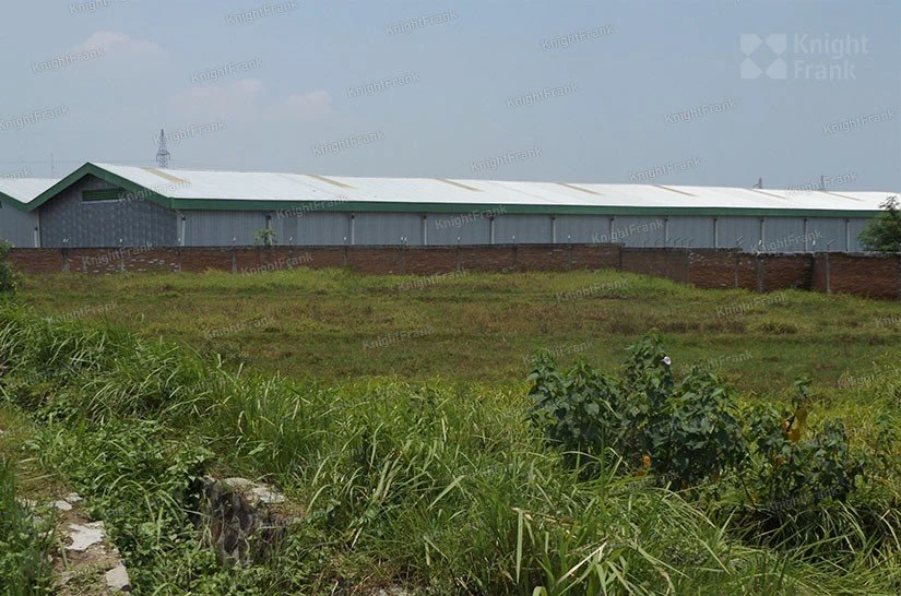 Knight Frank | Industrial Land in Klari, Karawang | Photo